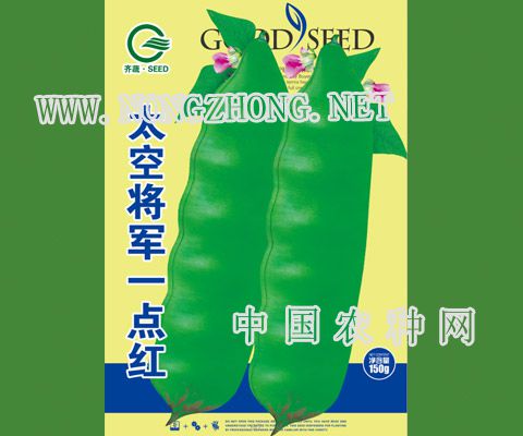 太空将军一点红